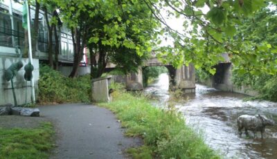 Le Dodder Rhino - jwd - cc