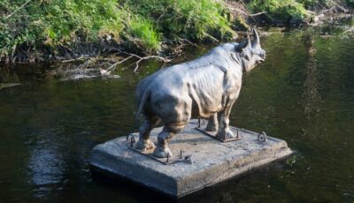 Le Dodder Rhino de Dublin - William Murphy - cc