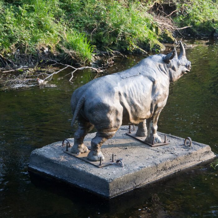 Le Dodder Rhino de Dublin - William Murphy - cc
