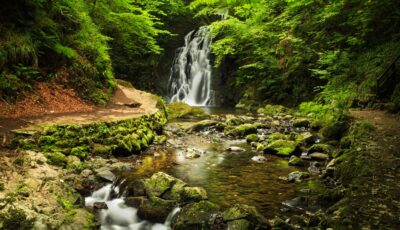 La Glenoe Waterfall - © Aleksei Demitsev
