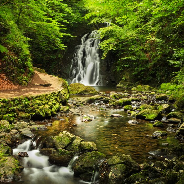La Glenoe Waterfall - © Aleksei Demitsev