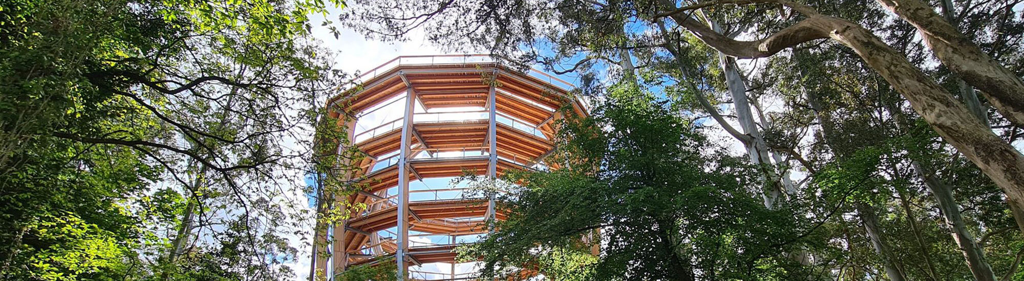 Beyond the trees Avondale - https://www.beyondthetreesavondale.com