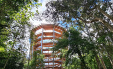 Beyond the trees Avondale - https://www.beyondthetreesavondale.com