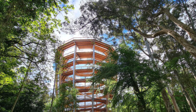 Beyond the trees Avondale - https://www.beyondthetreesavondale.com