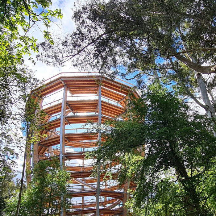 Beyond the trees Avondale - https://www.beyondthetreesavondale.com