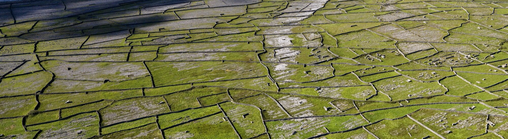 Ecologie en Irlande