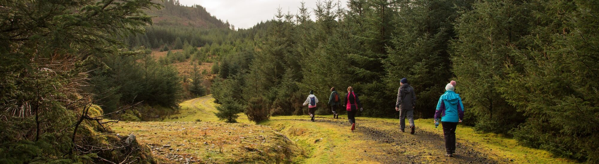 Le Letterkeen Loop Trail Head - © Darren Moran