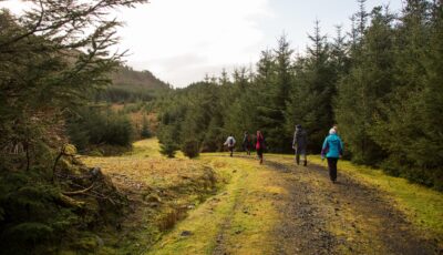 Le Letterkeen Loop Trail Head - © Darren Moran