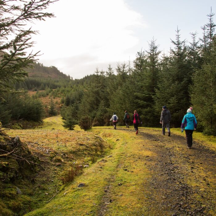 Le Letterkeen Loop Trail Head - © Darren Moran