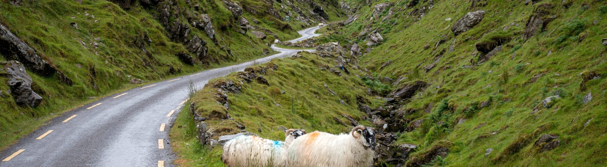 Le Ballaghbeama Gap - © Shawn