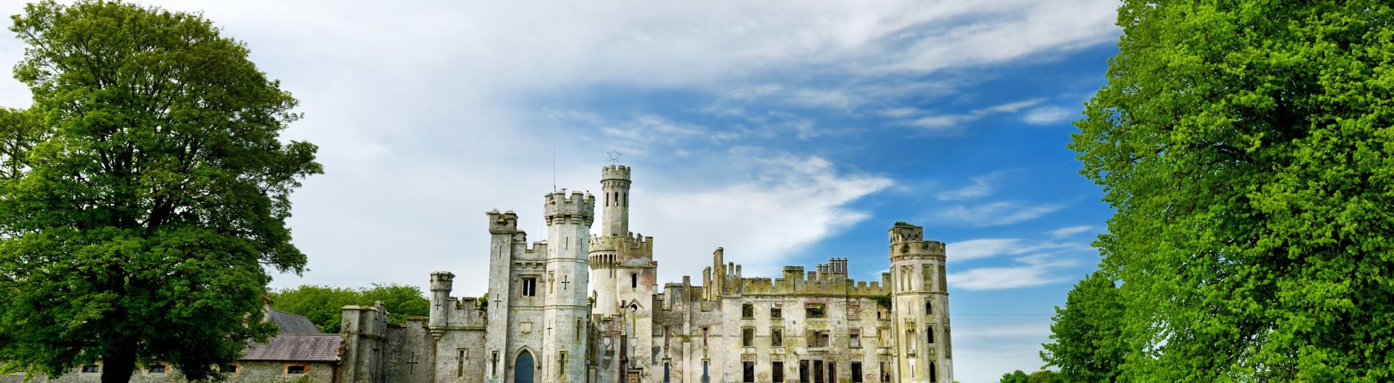 Duckett's Grove - © MNStudio