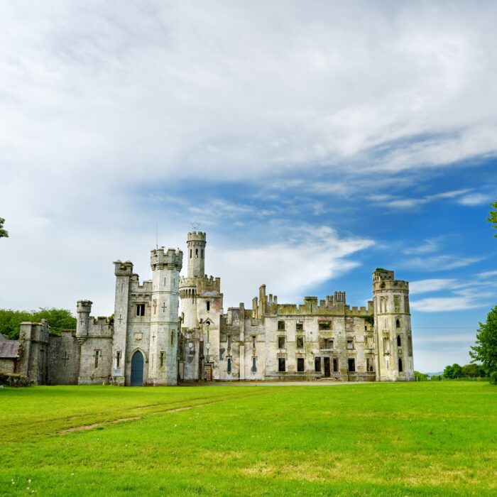 Duckett's Grove - © MNStudio
