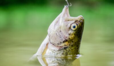 Experience an unforgettable fishing weekend in Ireland - © be free  