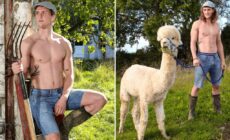 Le Irish farmer calendar 2023