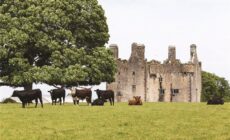 Le Killaleigh castle - MyHome.ie