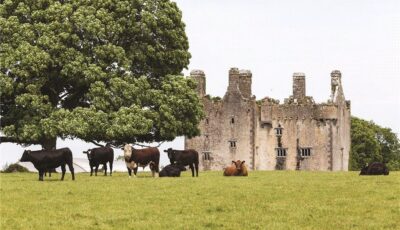 Le Killaleigh castle - MyHome.ie