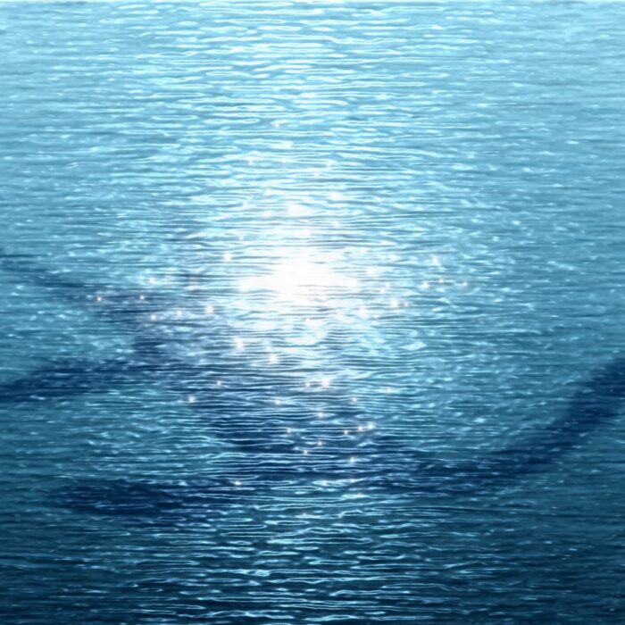 Le monstre du Loch Ness irlandais alimente bien des théories - © lubomira08