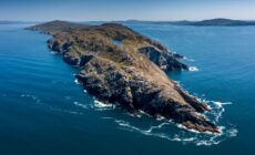 Sheep's Head - © makasana photo