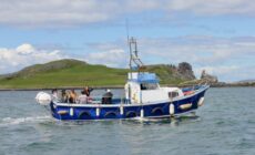 Excursion en bateau sur la côte de Howth