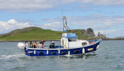 Excursion en bateau sur la côte de Howth