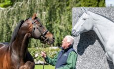 Kildare : Haras et jardins nationaux irlandais