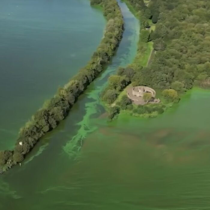 Le Lough Neagh, contaminé à l'algue bleue