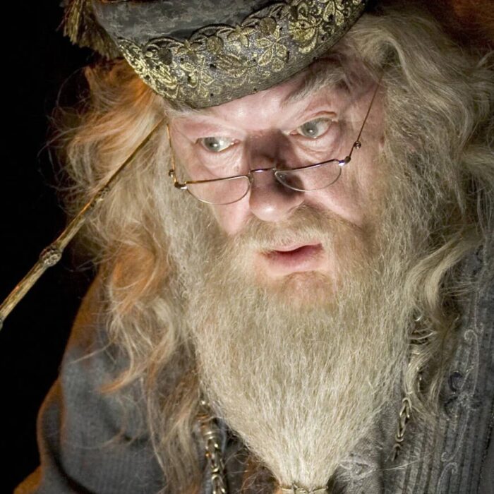 Acteur De Harry Potter Mort
