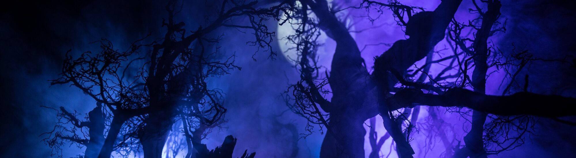 Comment prononce-t-on le mot Samhain ? - © zef art 