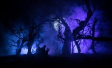 Comment prononce-t-on le mot Samhain ? - © zef art