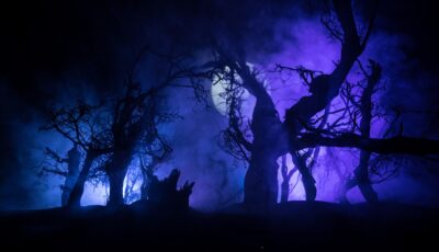 Comment prononce-t-on le mot Samhain ? - © zef art