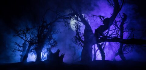 Comment prononce-t-on le mot Samhain ? - © zef art