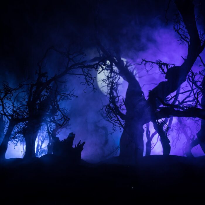 Comment prononce-t-on le mot Samhain ? - © zef art