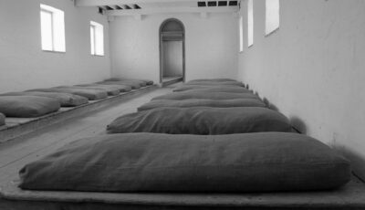 The Irish Workhouse Centre - https://irishworkhousecentre.ie/