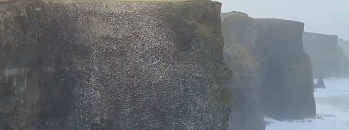 Une boule d'écume et de neige géante flottait sur les Falaises de Moher - @cormac_mcginley (X / Twitter)