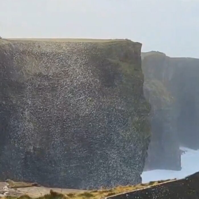 Une boule d'écume et de neige géante flottait sur les Falaises de Moher - @cormac_mcginley (X / Twitter)