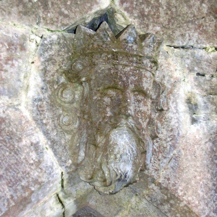 Rory O'Connor (Ruaidrí Ua Conchobair) - ClintMalpaso - cc