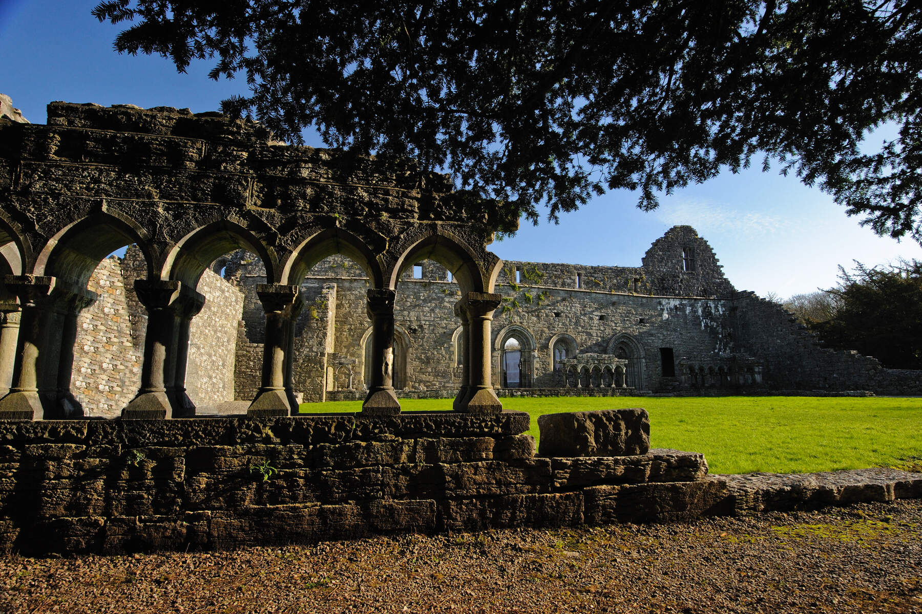 Cong Abbey - ©Sean Tomkins - Failte Ireland