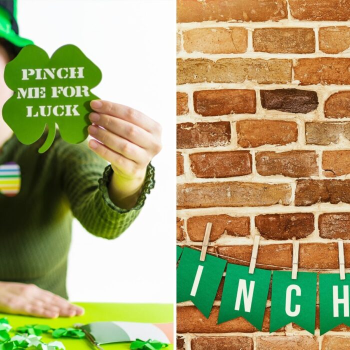 Pinch me I'm irish - Canva Pro