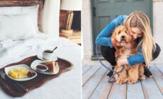 Le pet sitting peut vous permettre d'obtenir un hébergement gratuit en Irlande