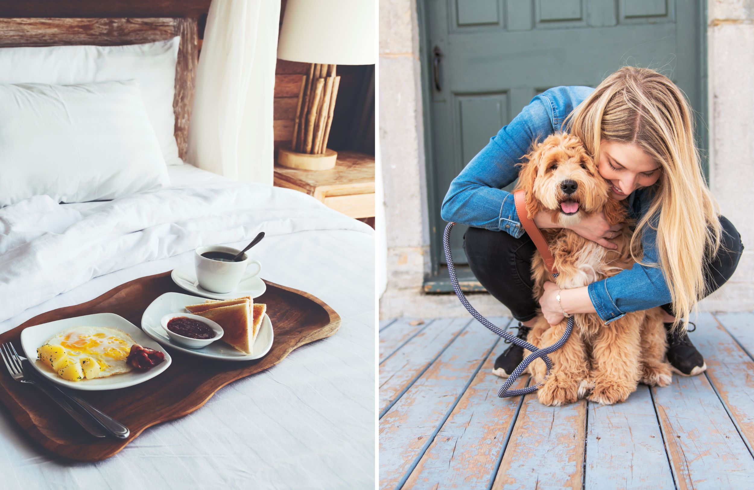 Le pet sitting peut vous permettre d'obtenir un hébergement gratuit en Irlande