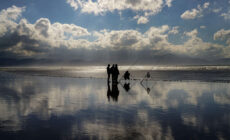 Pêche côtière en Irlande : vivez une aventure unique ! © Failte Ireland