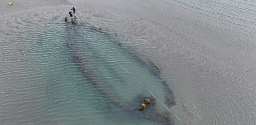 Une épave découverte sur la plage de Portmarnock - National Monuments Service (NMS)