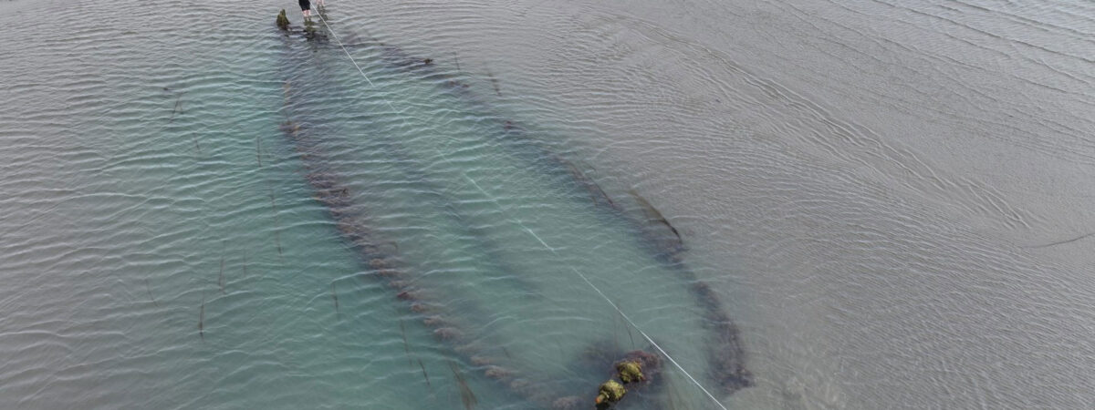 Une épave découverte sur la plage de Portmarnock - National Monuments Service (NMS)