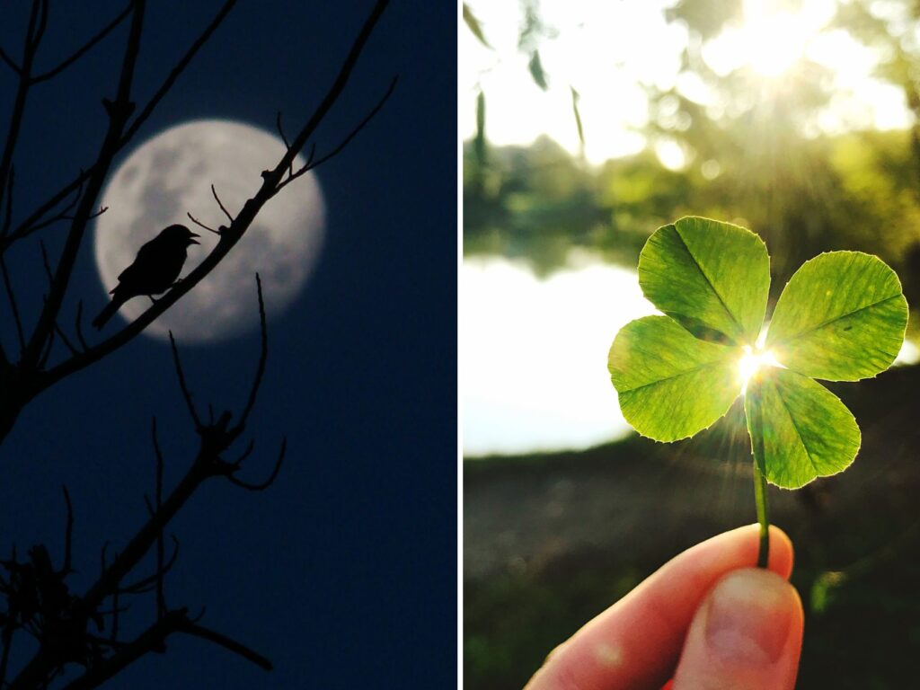 Superstitions irlandaises - © Canva Pro