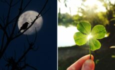 Superstitions irlandaises - © Canva Pro