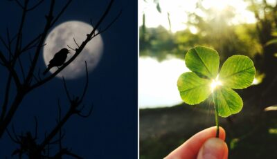 Superstitions irlandaises - © Canva Pro