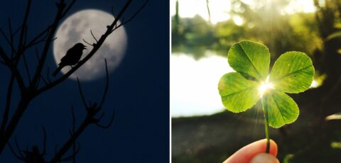 superstitions