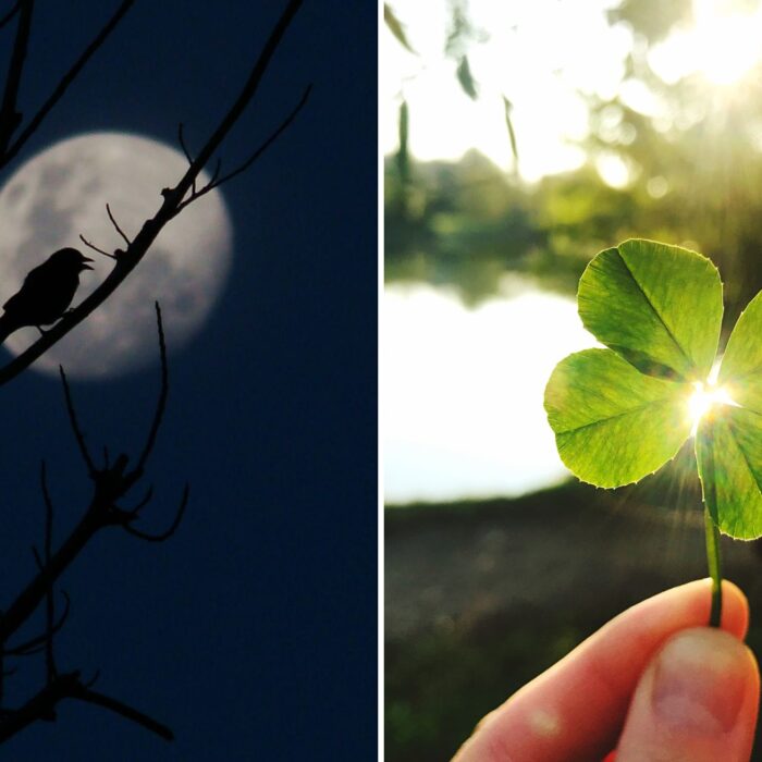 Superstitions irlandaises - © Canva Pro