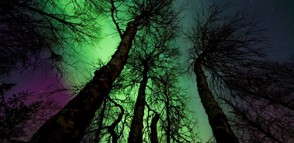 Irlande du Nord : les aurores boréales ont fait leur show hier soir !