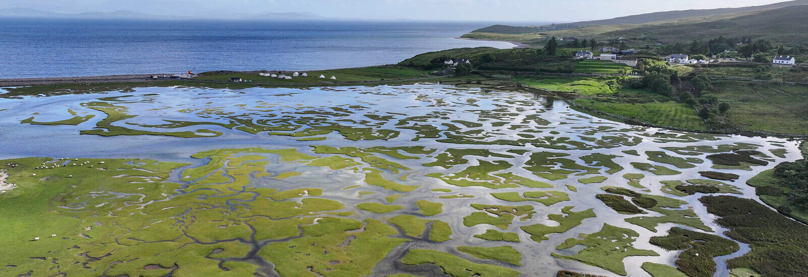Marais irlandais